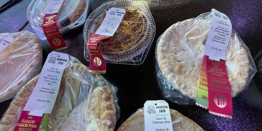 Baked pies with first-place ribbons from the Harrow Fair by the Harrow Agricultural Society.